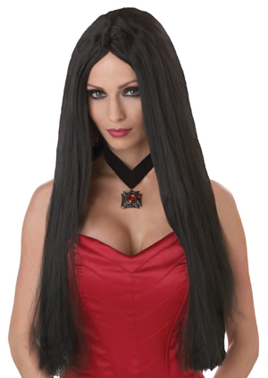 WIG:  26" Long Straight Flowing Wig Black