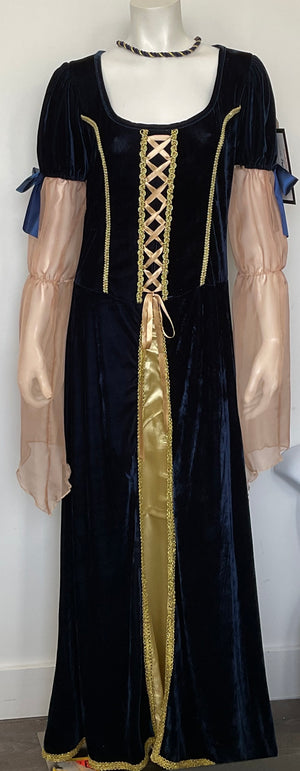 COSTUME RENTAL - A14 Fair Princess 2pcs Large
