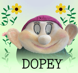 COSTUME RENTAL - D20BB Dopey Head