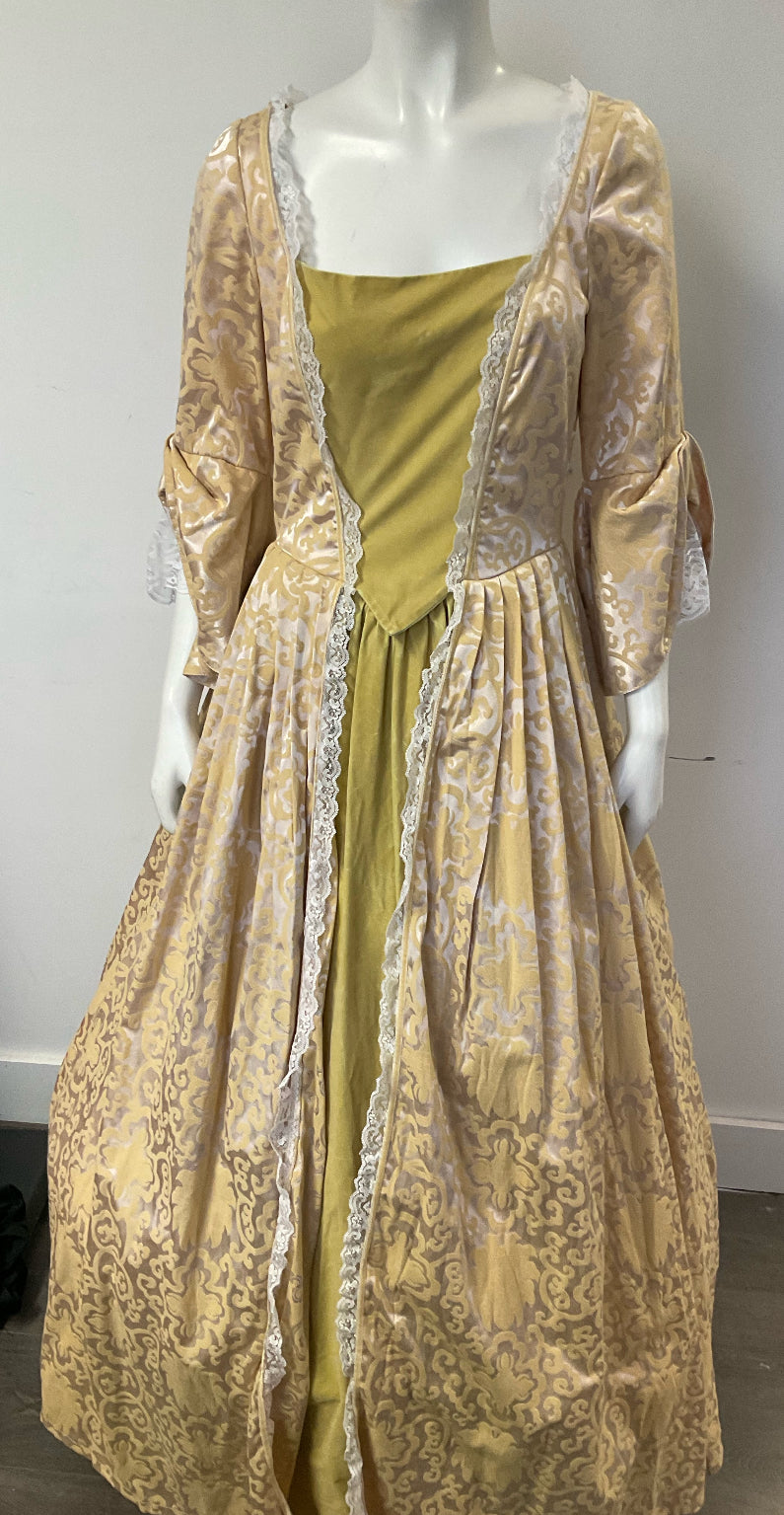 COSTUME RENTAL - B1 Golden Princess / Bridgerton Dress - 2pcs med   Woodbridge Costume Rentals