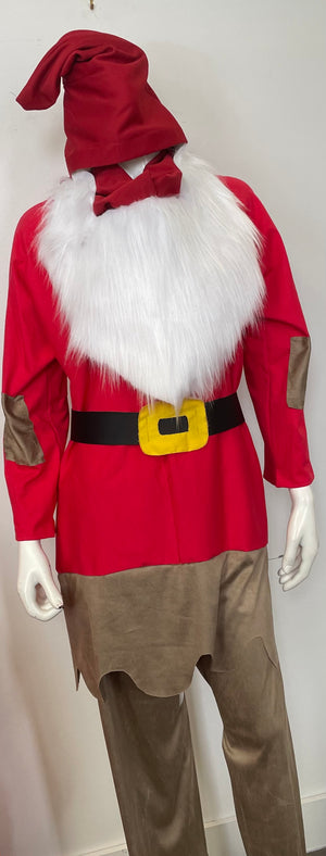 COSTUME RENTAL - D20A Grumpy 7 pcs