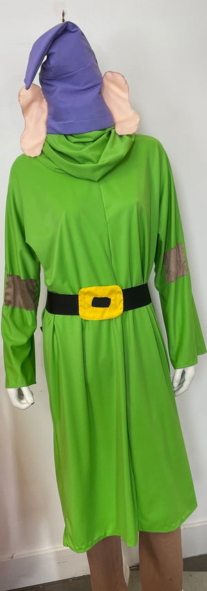 COSTUME RENTAL - D20B Dopey 7 pcs L