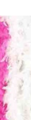 ACCESS: Boa, White Turkey