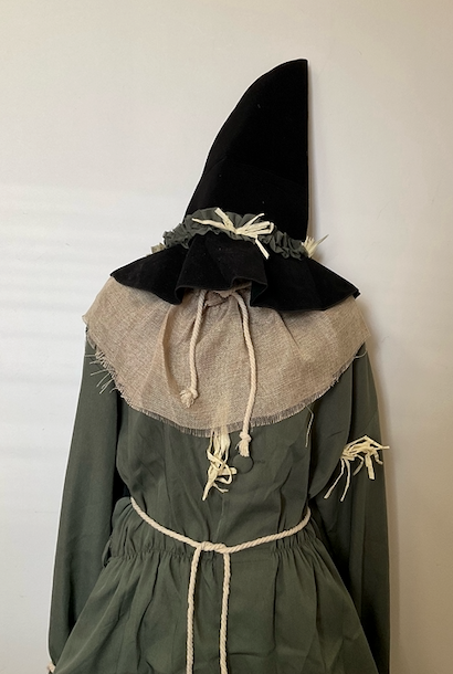 COSTUME RENTAL - D50A Scarecrow from Oz Large 5 pcs – Woodbridge