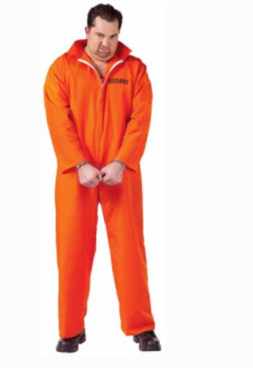 ADULT COSTUME: Got Busted Prisoner