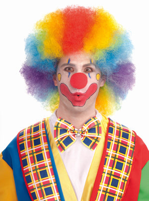 WIG:  Deluxe Colourful Clown Wig