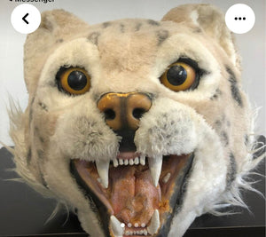 COSTUME RENTAL - R182 Wild Cat Mascot 2pc -