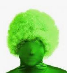 WIG: Green Clown Wig