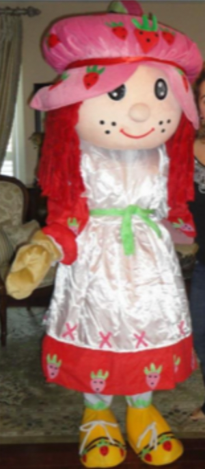COSTUME RENTAL - R174 strawberry Sweetie 9 pcs