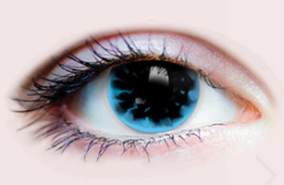 PRIMAL EYES: Loki  948