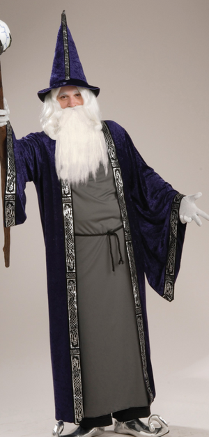ADULT COSTUME: Wizard PLUS