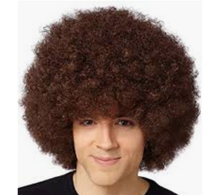 WIG: Curly Wig (brown)