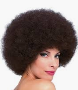 WIG: curly Wig (brown smaller)