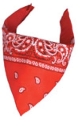 ACCESS: Bandana