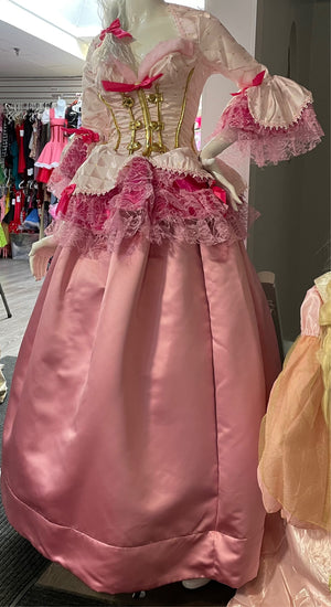 COSTUME RENTAL - B9 Mon Ami Dress / Bridgerton large 3 pcs -