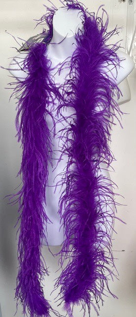 COSTUME RENTAL:  Z411 Boa Rental PURPLE #1