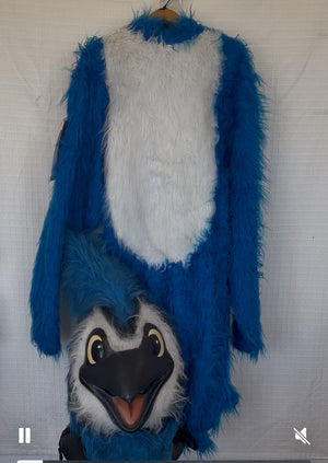 COSTUME RENTAL - R204 Bluejay Mascot 6 pc Large