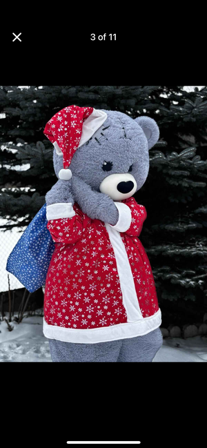 COSTUME RENTAL - R214 Mr Bear 7 pcs