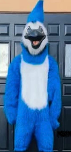 COSTUME RENTAL - R204 Bluejay 6pcs Large