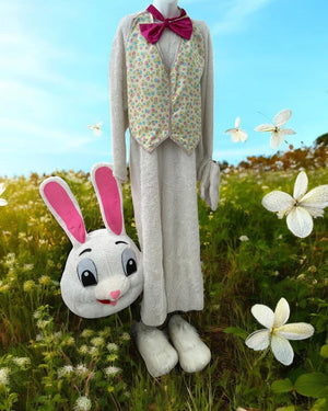 COSTUME RENTAL - R162 White Bunny 8pcs