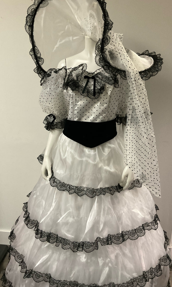 COSTUME RENTAL - C22A Southern Belle, Medium 4s pc