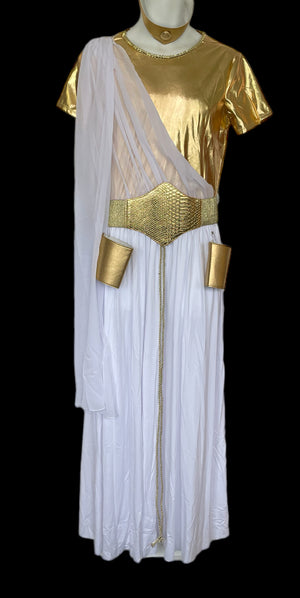 COSTUME RENTAL - F37 Zeus 5 pc Large