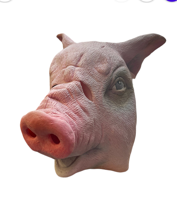 MASK:  PIG MASK