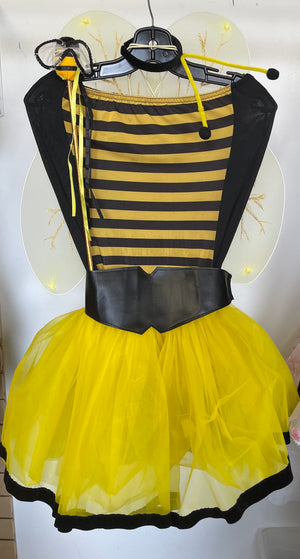 COSTUME RENTAL - M36 Sexy Bee 6 pcs