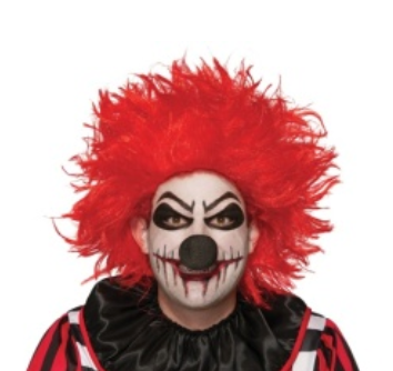 WIG- Evil CLown Wig
