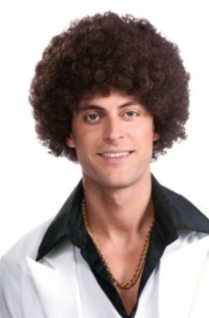WIG:  Curly Brown Wig