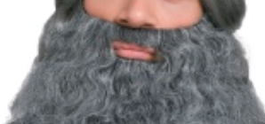 WIG:  beard and Mustache set Grey