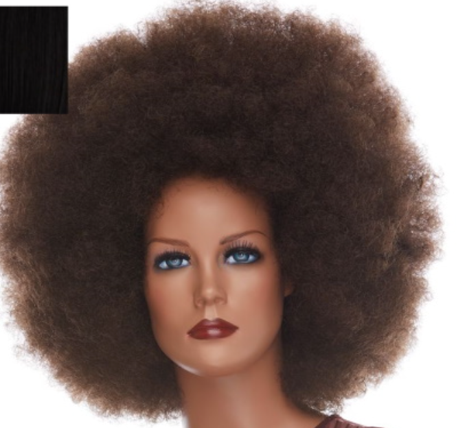 WIG: Curly Afro Wig (brown)