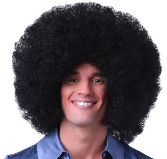 WIG: Curly Afro Wig (black)