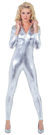 COSTUME RENTAL - L10 Silver Jumpsuit LRG