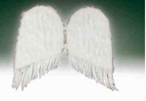 ACCESS: Angel Wings 20" white