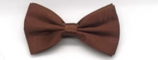 COSTUME RENTAL: Z275 Brown Bowtie