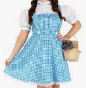 COSTUME RENTAL - D48A Dorothy 3 pc MED