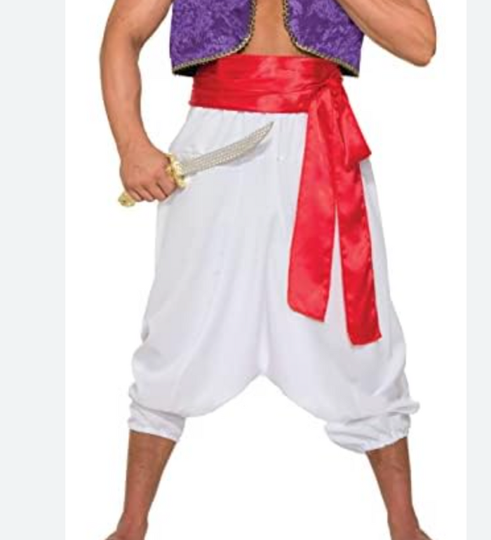 ADULT COSTUME: Desert prince Pants