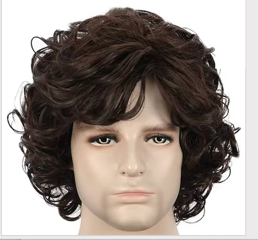 WIG- John Snow Wig BROWN