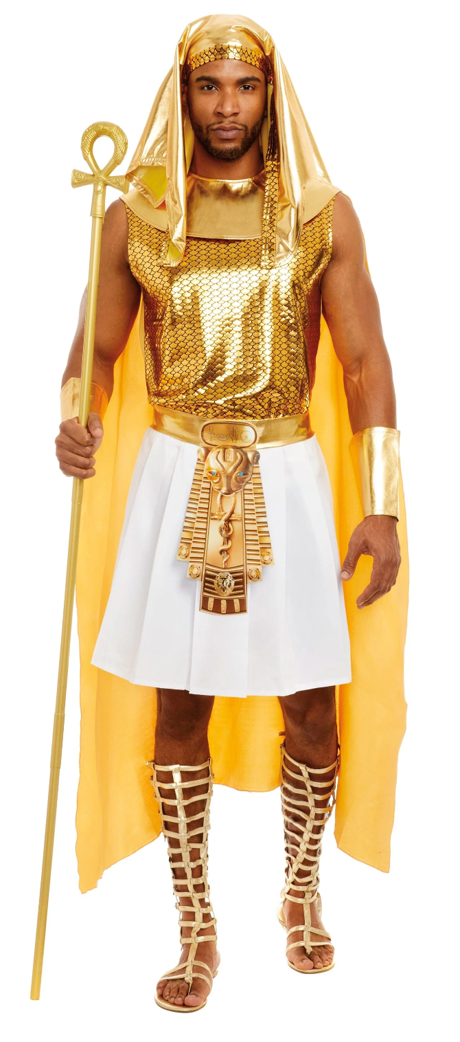 COSTUME RENTAL - F16A Ramses Golden- 6 pcs Large - NOT AVAILABLE OCT 24-28