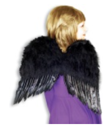 ACCESS: Black Feather Wings