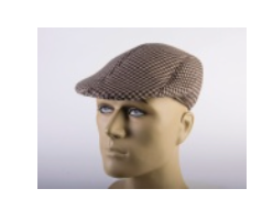 HAT:  Newsboy Cap