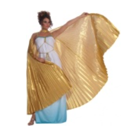 ACCESS: Cape,  Gold Wings