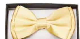 ACCESS: Bowtie, Gold/Yellow