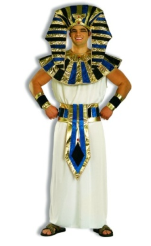 COSTUME RENTAL - F18B King Tut Large 6pc