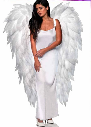 ACCESS: Full Length 54" Angel Wings White