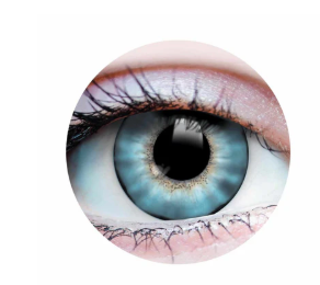 PRIMAL EYES: Sunset Ocean (508)