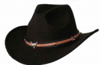 HAT: Black Cowboy hat black