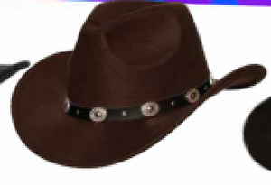 HAT: Conch Cowboy hat black