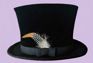 COSTUME RENTAL - Z456 Black Tophat rental